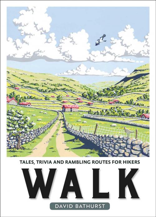 Cover of the book Walk: Tales, Trivia and Rambling Routes for Hikers by David Bathurst, Summersdale Publishers Ltd