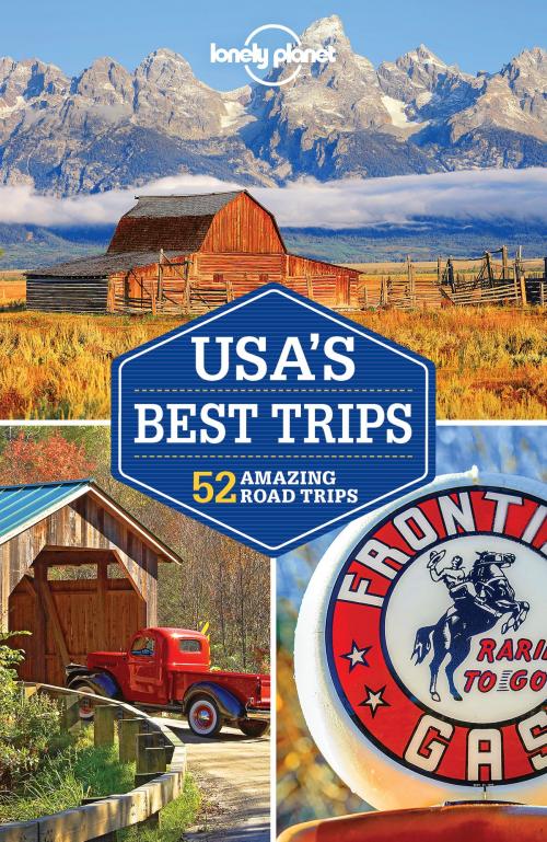 Cover of the book Lonely Planet USA's Best Trips by Lonely Planet, Simon Richmond, Kate Armstrong, Carolyn Bain, Amy C Balfour, Ray Bartlett, Sara Benson, Celeste Brash, Gregor Clark, Michael Grosberg, Lonely Planet Global Limited