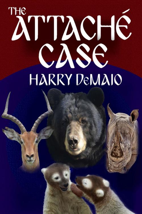 Cover of the book The Attaché Case by Harry DeMaio, Andrews UK