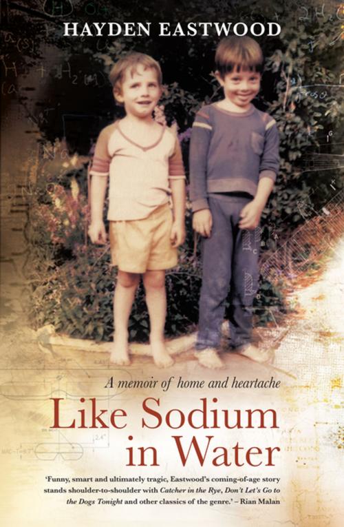 Cover of the book Like Sodium in Water by Hayden Eastwood, Jonathan Ball Publishers