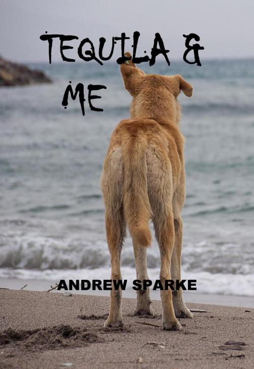 Cover of the book Tequila & Me by Andrew Sparke, APS Publications