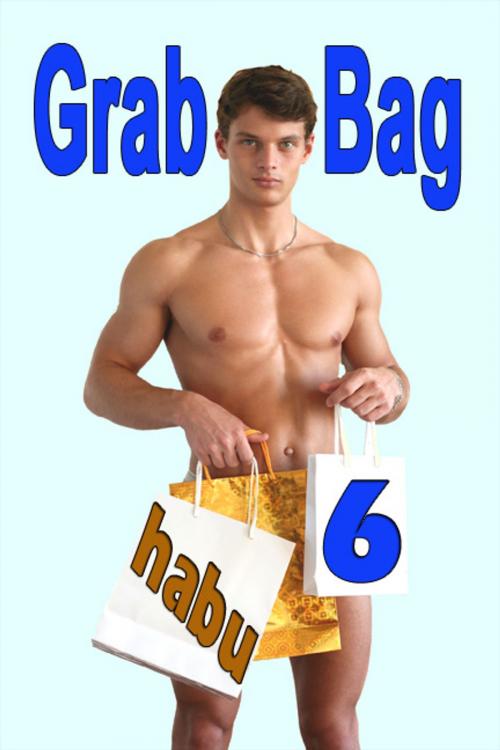 Cover of the book Grab Bag 6 by habu, BarbarianSpy