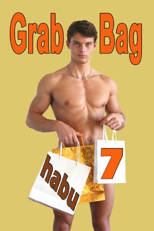 Cover of the book Grab Bag 7 by habu, BarbarianSpy