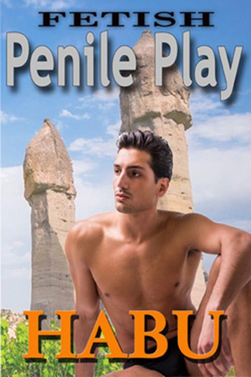 Cover of the book Fetish: Penile Play by habu, BarbarianSpy