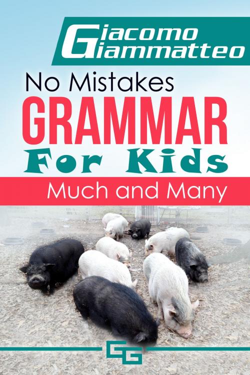 Cover of the book No Mistakes Grammar for Kids, Volume I, Much and Many by Giacomo Giammatteo, Giacomo Giammatteo