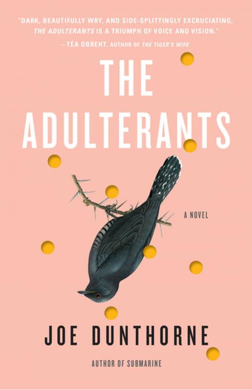 Cover of the book The Adulterants by Joe Dunthorne, Tin House Books