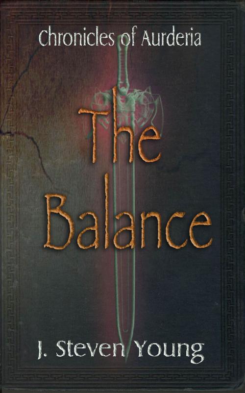 Cover of the book The Balance by J. Steven Young, James Steven Young