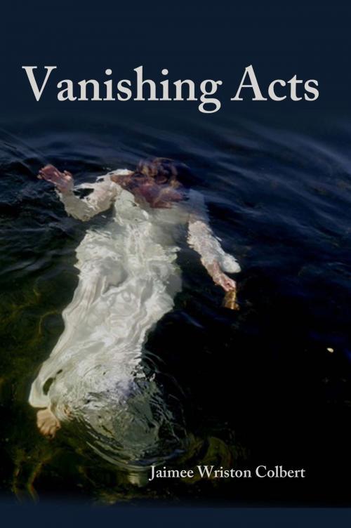 Cover of the book Vanishing Acts by Jaimee Wriston Colbert, Fomite