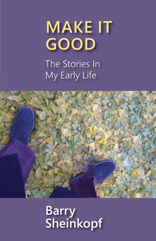 Cover of the book Make It Good by Barry Sheinkopf, Full Court Press