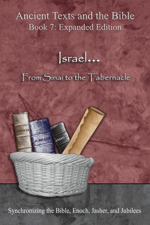 Cover of the book Israel... From Sinai to the Tabernacle - Expanded Edition by Minister 2 Others, Ahava Lilburn, Minister 2 Others