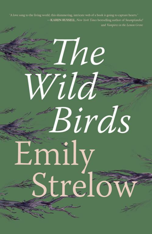 Cover of the book The Wild Birds by Emily Strelow, Rare Bird Books