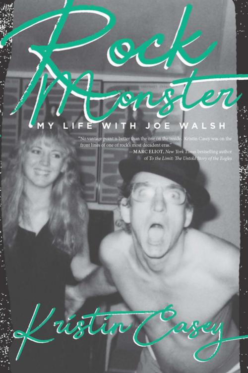 Cover of the book Rock Monster by Kristin Casey, Rare Bird Books