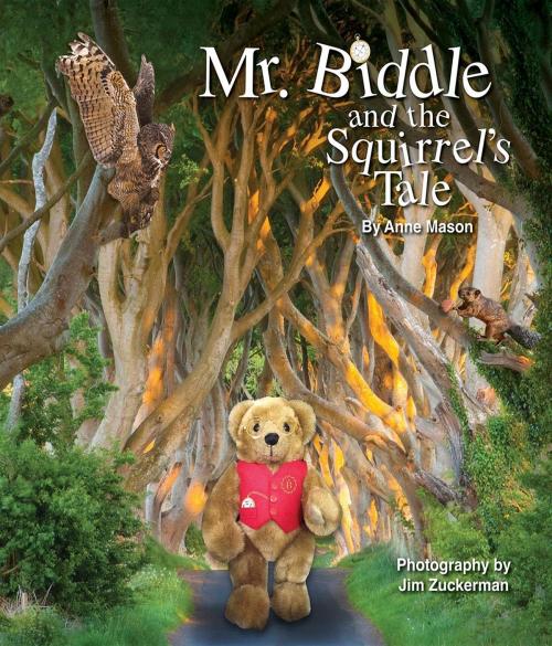 Cover of the book Mr. Biddle and the Squirrel's Tale by Anne Mason, Jim Zuckerman, Indigo River Publishing