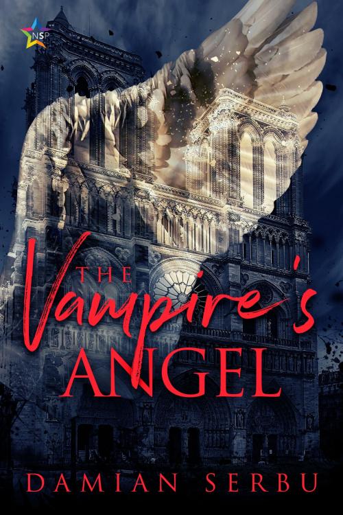 Cover of the book The Vampire's Angel by Damian Serbu, Nine Star Press