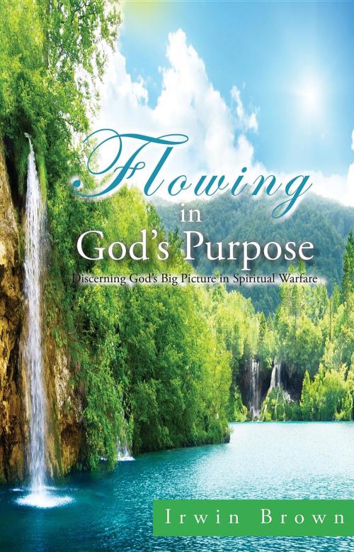 Cover of the book Flowing in God's Purpose by Irwin Brown, Toplink Publishing, LLC