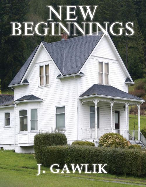 Cover of the book NEW BEGINNINGS by J. GAWLIK, Toplink Publishing, LLC