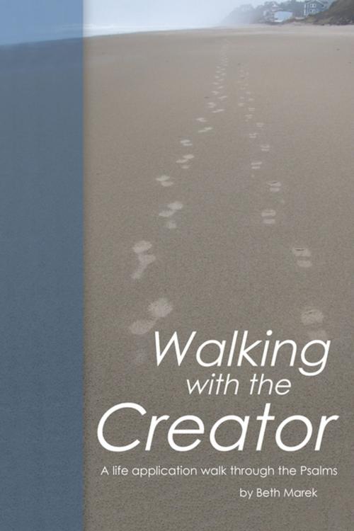 Cover of the book Walking with the Creator by Beth Marek, WestBow Press