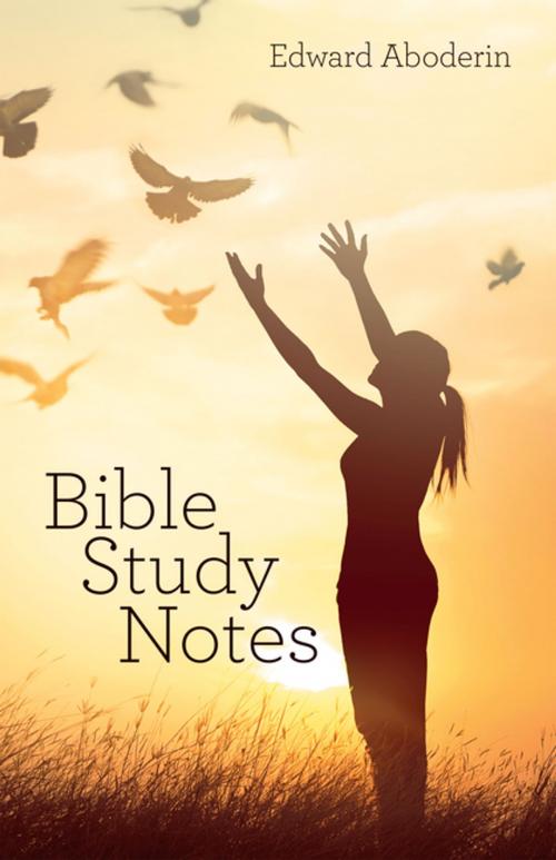 Cover of the book Bible Study Notes by Edward Aboderin, WestBow Press