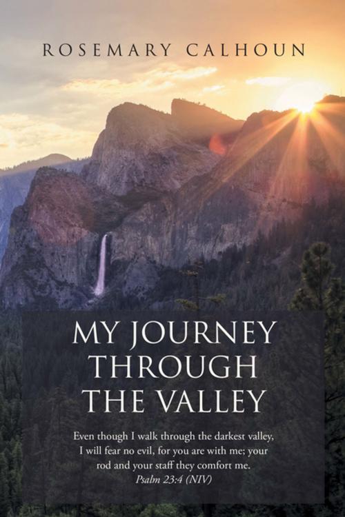 Cover of the book My Journey Through the Valley by Rosemary Calhoun, Xlibris US