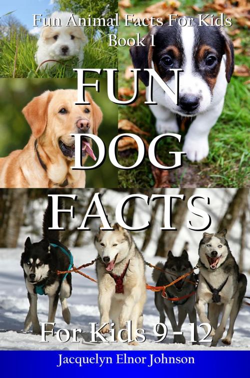 Cover of the book Fun Dog Facts for Kids 9-12 by Jacquelyn Elnor Johnson, Crimson Hill Products Inc.