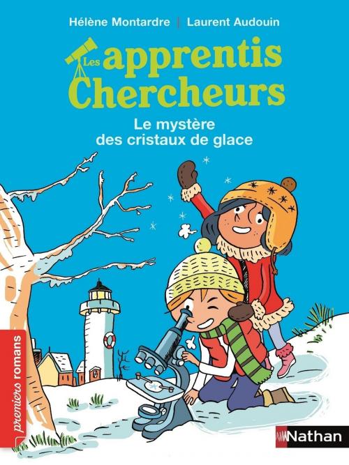 Cover of the book Les Apprentis chercheurs : Le mystère des cristaux de glace by Hélène Montardre, Nathan
