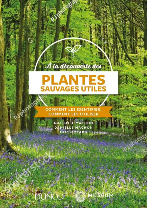 Cover of the book À la découverte des plantes sauvages utiles by Nathalie Machon, Eric Motard, Dunod