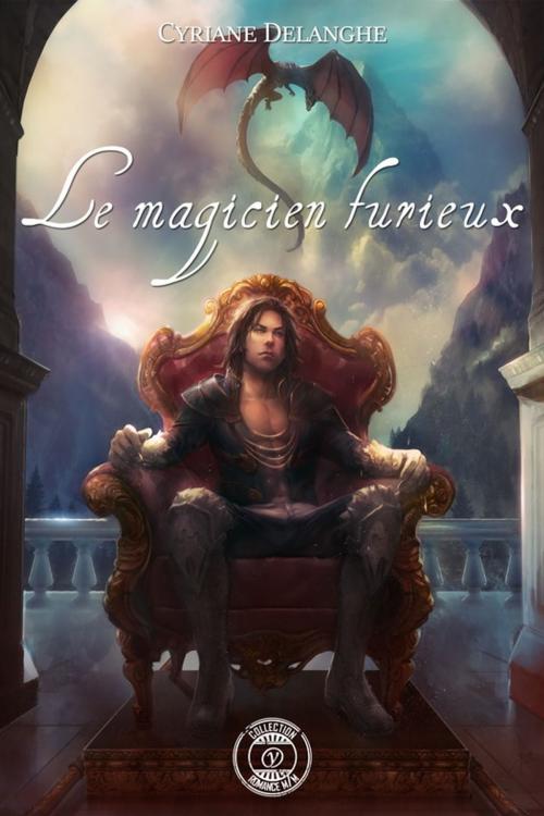Cover of the book Le magicien furieux by Cyriane Delanghe, Voy'el