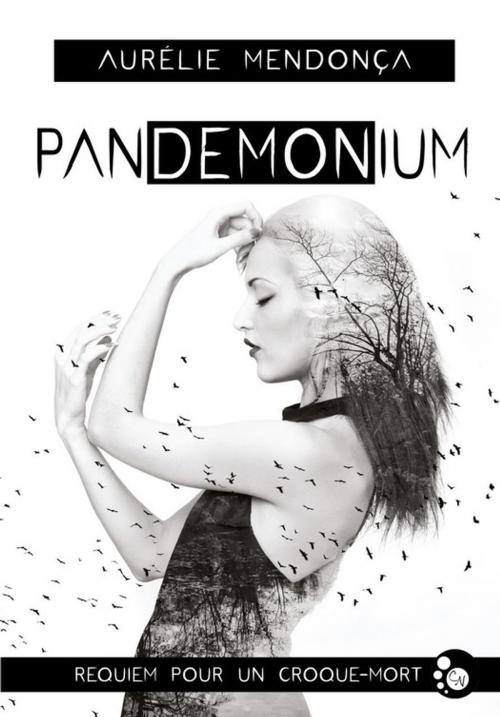 Cover of the book Pandemonium by Aurélie Mendonça, Editions du Chat Noir
