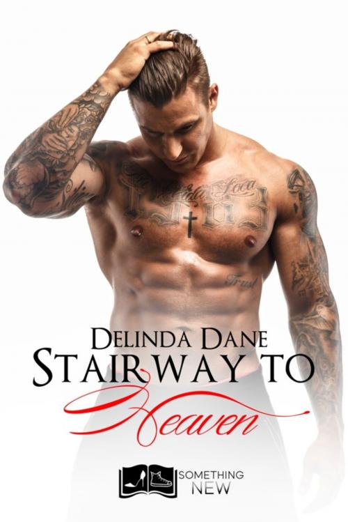 Cover of the book Stairway to Heaven by Delinda Dane, Something Else Editions