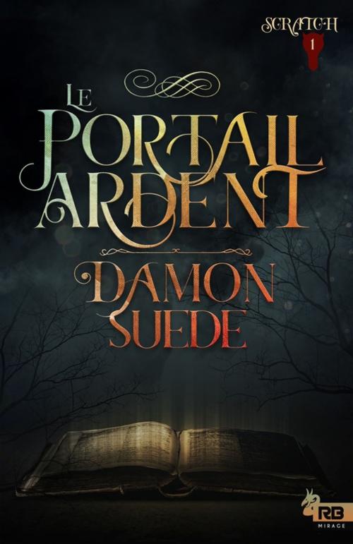 Cover of the book Le Portail ardent by Damon Suede, Reines-Beaux