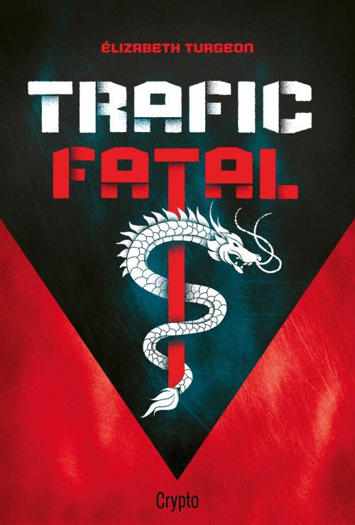 Cover of the book Trafic fatal by Élizabeth Turgeon, Bayard Canada
