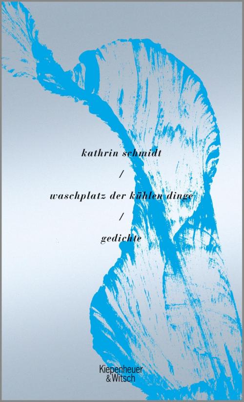 Cover of the book waschplatz der kühlen dinge by Kathrin Schmidt, Kiepenheuer & Witsch eBook