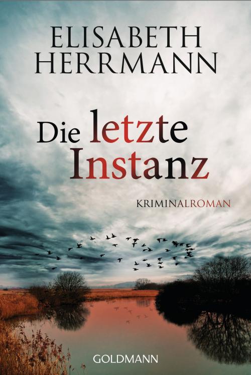 Cover of the book Die letzte Instanz by Elisabeth Herrmann, Goldmann Verlag