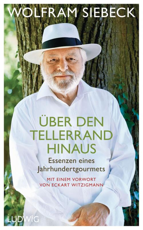 Cover of the book Über den Tellerrand hinaus by Wolfram Siebeck, Ludwig Buchverlag