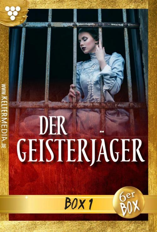 Cover of the book Der Geisterjäger Jubiläumsbox 1 – Gruselroman by Andrew Hathaway, Kelter Media