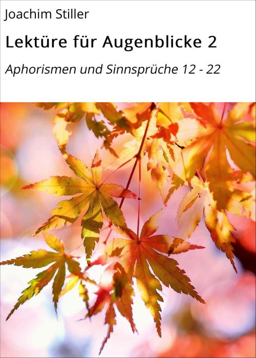 Cover of the book Lektüre für Augenblicke 2 by Joachim Stiller, neobooks