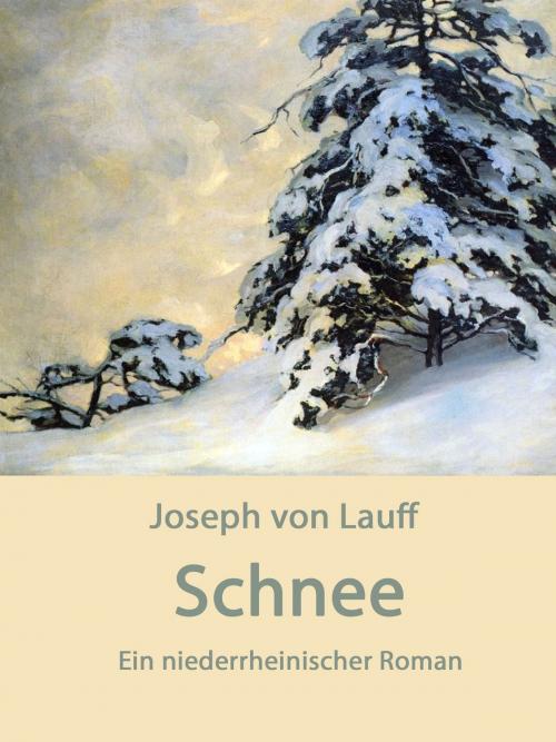 Cover of the book Schnee by Joseph von Lauff, Books on Demand