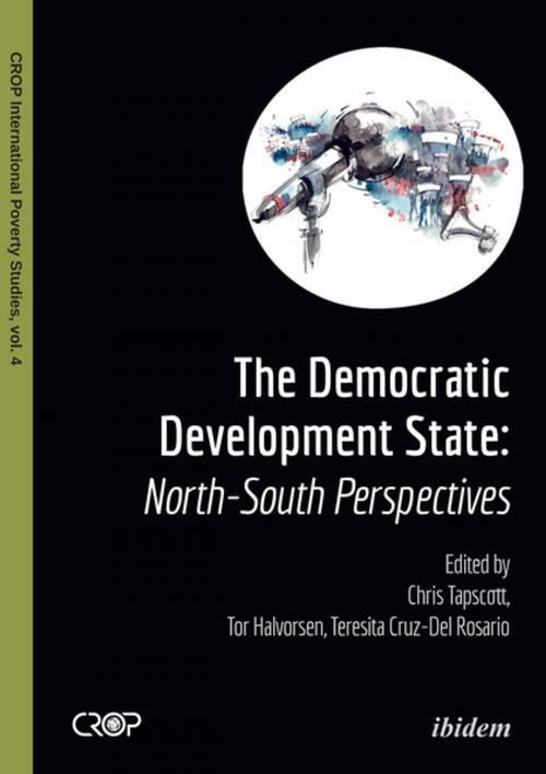Cover of the book The Democratic Developmental State by , Ibidem Press