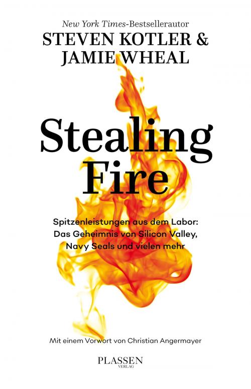 Cover of the book Stealing Fire by Steven Kotler, Jamie Wheal, Plassen Verlag