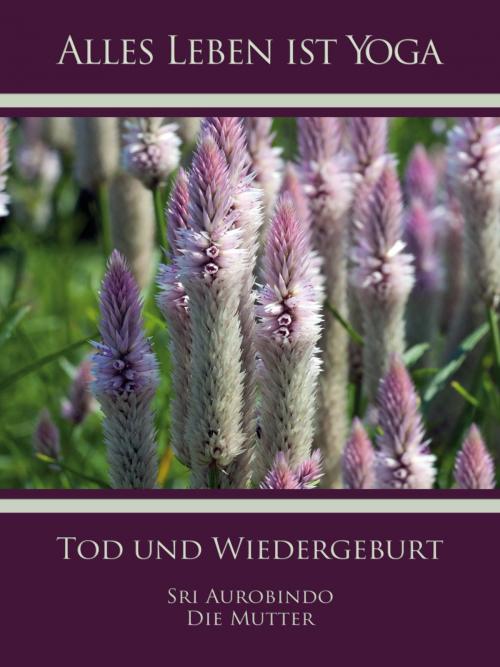 Cover of the book Tod und Wiedergeburt by Sri Aurobindo, Die (d.i. Mira Alfassa) Mutter, Sri Aurobindo Digital Edition