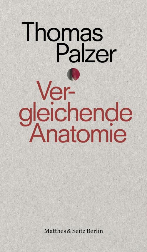 Cover of the book Vergleichende Anatomie by Thomas Palzer, Matthes & Seitz Berlin Verlag