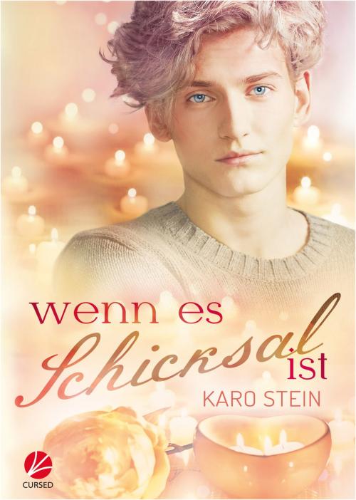 Cover of the book Wenn es Schicksal ist by Karo Stein, Cursed Verlag