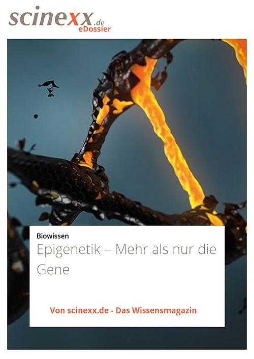 Cover of the book Epigenetik – Mehr als nur die Gene by Edda Schlager, YOUPublish