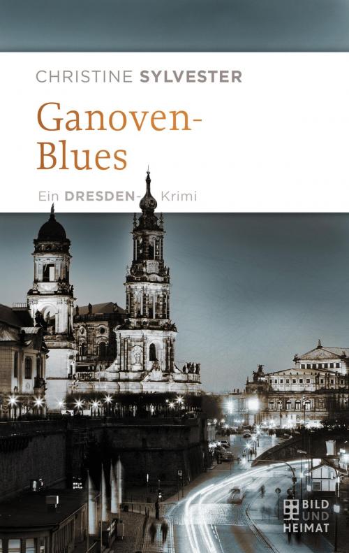 Cover of the book Ganovenblues by Christine Sylvester, Bild und Heimat