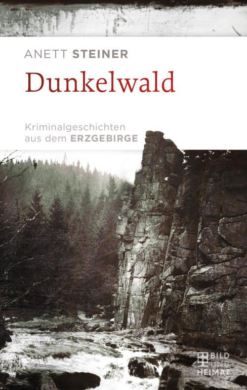 Cover of the book Dunkelwald by Anett Steiner, Bild und Heimat