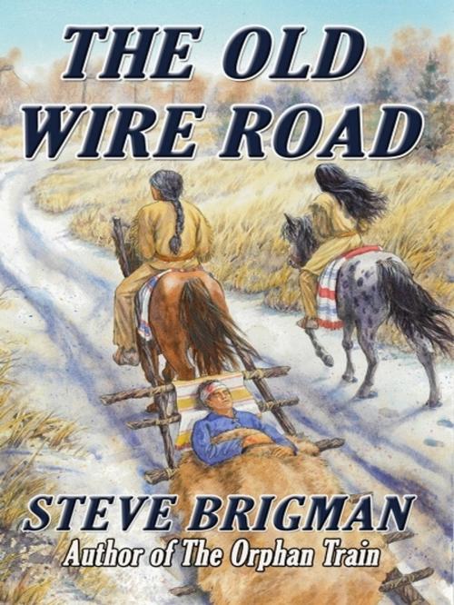 Cover of the book The Old Wire Road by Steve Brigman, XinXii-GD Publishing