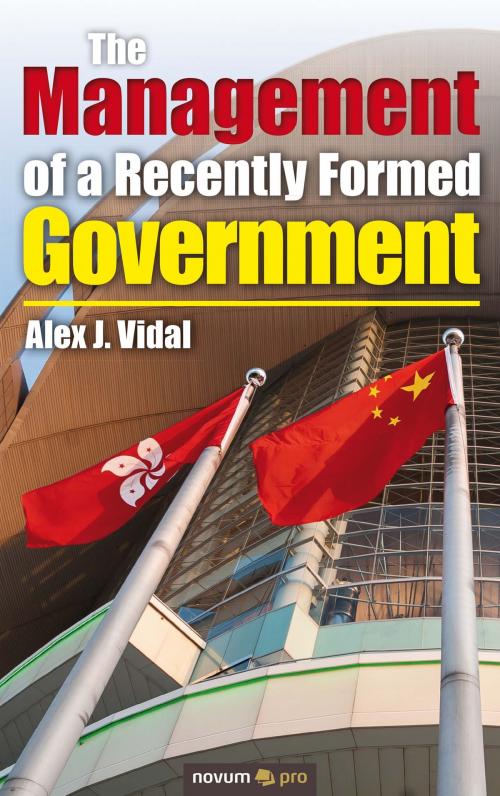 Cover of the book The Management of a Recently Formed Government by Alex J. Vidal, novum pro Verlag
