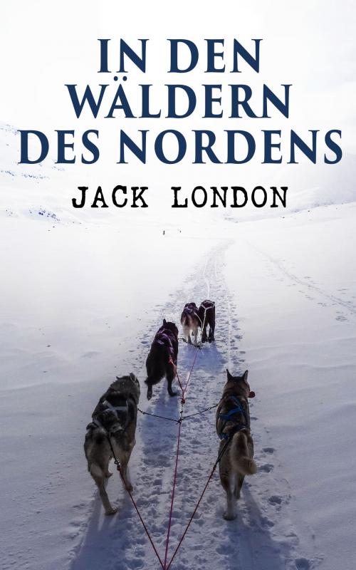Cover of the book In den Wäldern des Nordens by Jack London, e-artnow