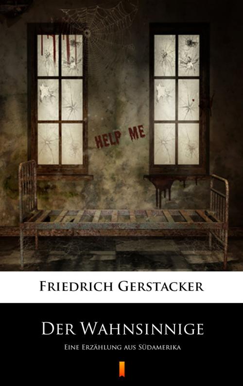 Cover of the book Der Wahnsinnige by Friedrich Gerstäcker, Ktoczyta.pl