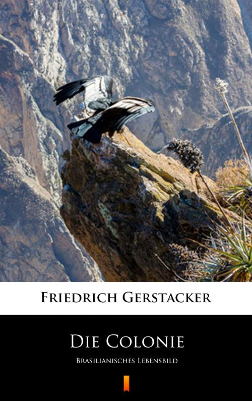 Cover of the book Die Colonie by Friedrich Gerstäcker, Ktoczyta.pl